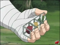 pillole choji